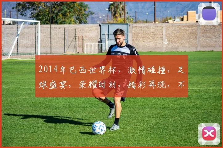 2014年巴西世界杯，激情碰撞，足球盛宴，荣耀时刻，精彩再现，不容错过