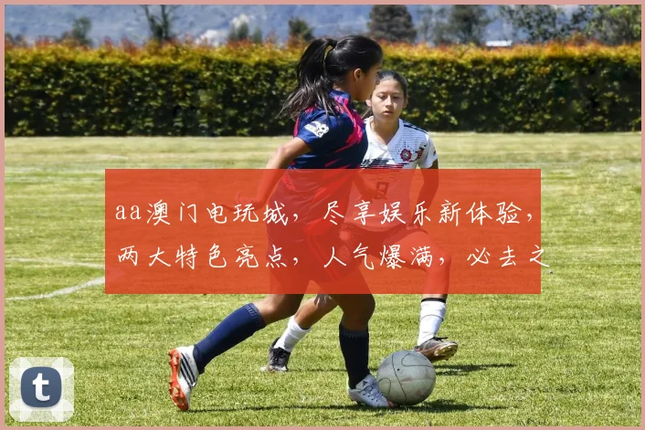 aa澳门电玩城，尽享娱乐新体验，两大特色亮点，人气爆满，必去之地