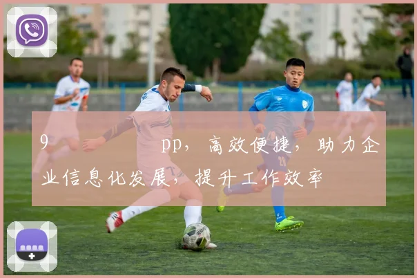 9鍗氬畼鏂筧pp，高效便捷，助力企业信息化发展，提升工作效率