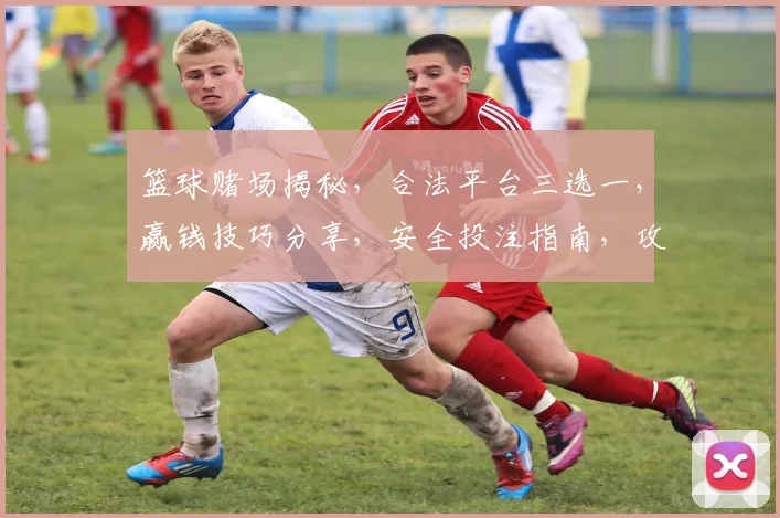 篮球赌场揭秘，合法平台三选一，赢钱技巧分享，安全投注指南，攻略必看