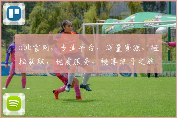 obb官网，专业平台，海量资源，轻松获取，优质服务，畅享学习之旅